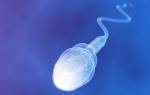 Повышенная вязкость спермы: от чего зависит, причины, как уменьшить