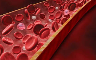 Эритроциты в крови повышены у ребенка, мужчины или женщины
