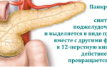 Панкреатическая эластаза в кале норма у взрослых при хроническом панкреатите