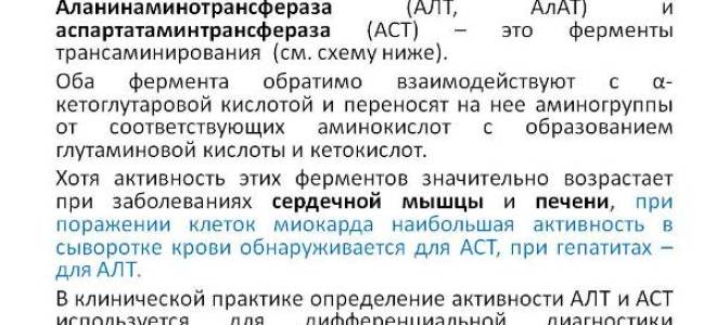 АЛТ в крови у женщин норма и причины отклонения