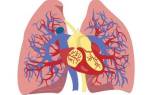 Сердечная астма симптомы