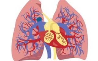 Сердечная астма симптомы