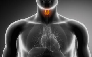 Гормон при инфаркте — Про щитовидку