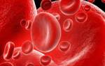 Повышенный белок в крови — что это значит?