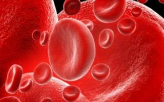Причины повышения белка в крови и возможные заболевания