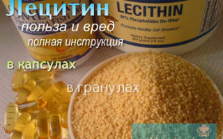 Что такое лецитин и для чего он нужен организму