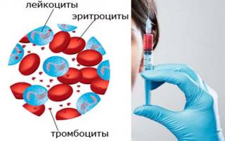 Эритроциты лейкоциты тромбоциты функции и норма в крови