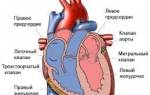 Пороки клапана сердца недостаточность клапана сердца