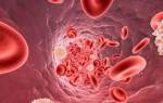 Норма лейкоцитов в крови у женщин до 30
