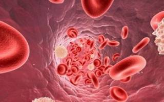 Какая должна быть норма лейкоцитов у здорового человека