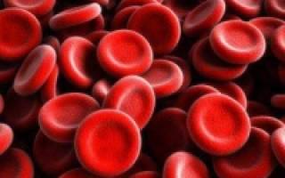Кол во эритроцитов в крови