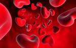 PDW в анализе крови расшифровка норма и причины понижения
