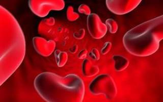 PDW в анализе крови расшифровка норма и причины понижения