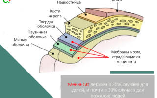 Воспаление мозга симптомы и лечение