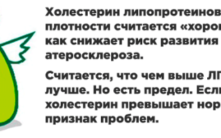 Повышен лпвп в крови что это значит — Сахарный диабет