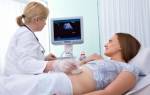 Что такое скрининговое УЗИ при беременности, нормы