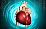 Сердечные заболевания: какие существуют болезни сердца