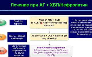 Артериальная гипертензия август 2018