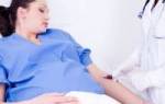 Анализ крови на антитела при беременности процедура и расшифровка