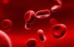 О чем свидетельствует повышенный уровень лимфоцитов в крови?