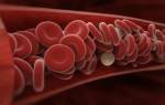 Лейкопения как повысить уровень лейкоцитов в крови