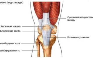 Вывих колена симптомы и лечение