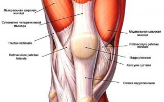 Лечение растяжения мышц коленного сустава